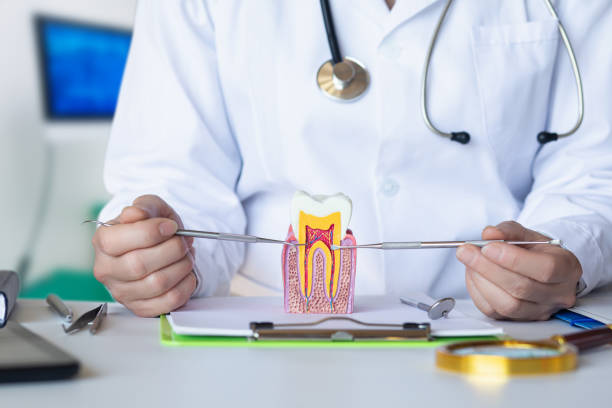 Best Emergency Root Canal Treatment in Centerville, IA